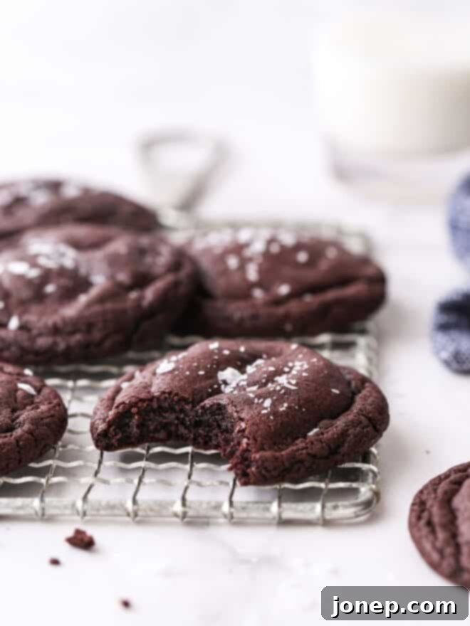 Ultimate Soft and Chewy Chocolate Cookies 2 bite taken out of chocolate cookie