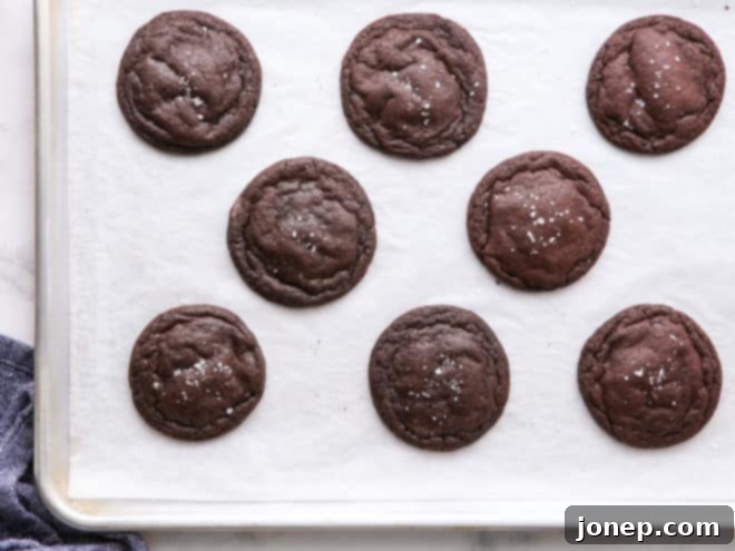 Ultimate Soft and Chewy Chocolate Cookies 5 baked chocolate cookies on sheet pan