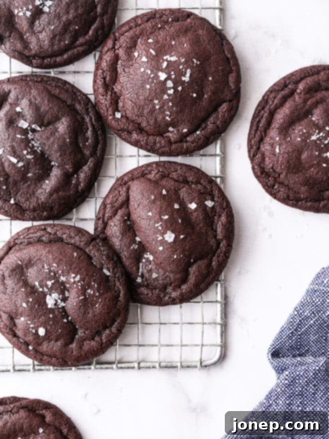 Ultimate Soft and Chewy Chocolate Cookies 6 chewy chocolate cookies on wire rack