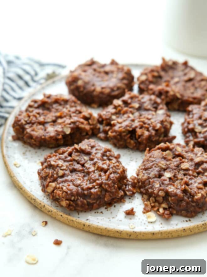 Chocolate Fudge No-Bakes 2 Delicious no-bake chocolate peanut butter cookies arranged on a white plate