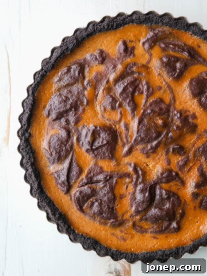 Chocolate Swirl Pumpkin Tart cooling on a wire rack, ready to be enjoyed.