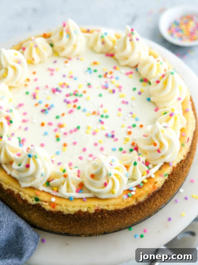 Whimsical Funfetti Cheesecake 2 closeup of funfetti cheesecake slice with colorful sprinkles