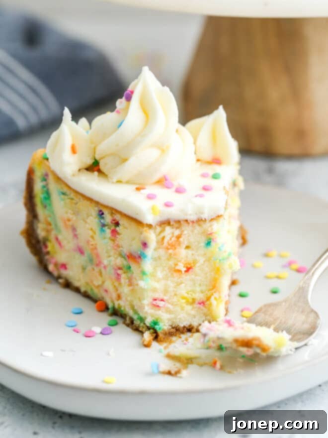 Whimsical Funfetti Cheesecake 3 taking a bite out of a slice of funfetti cheesecake showing creamy texture