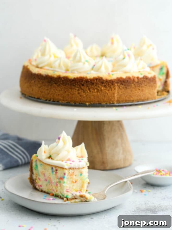 Whimsical Funfetti Cheesecake 7 funfetti cheesecake on cake stand with slice on a plate, ready to serve