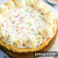 Whimsical Funfetti Cheesecake 8 closeup of funfetti cheesecake