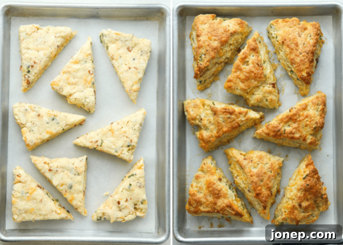 Comparison image showing unbaked savory scones and golden-brown baked savory scones on a baking sheet
