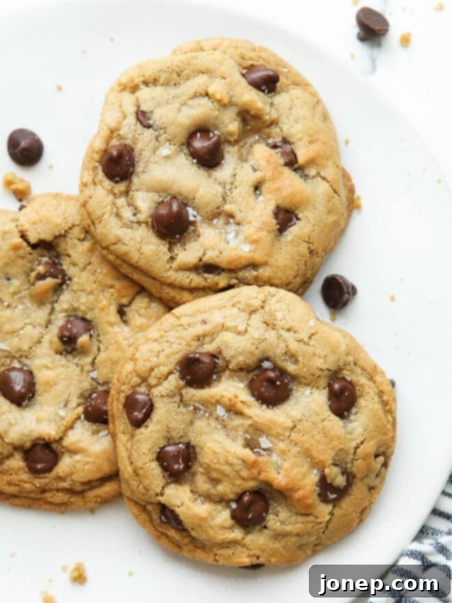 closeup of chocolate chip cookies on a plate