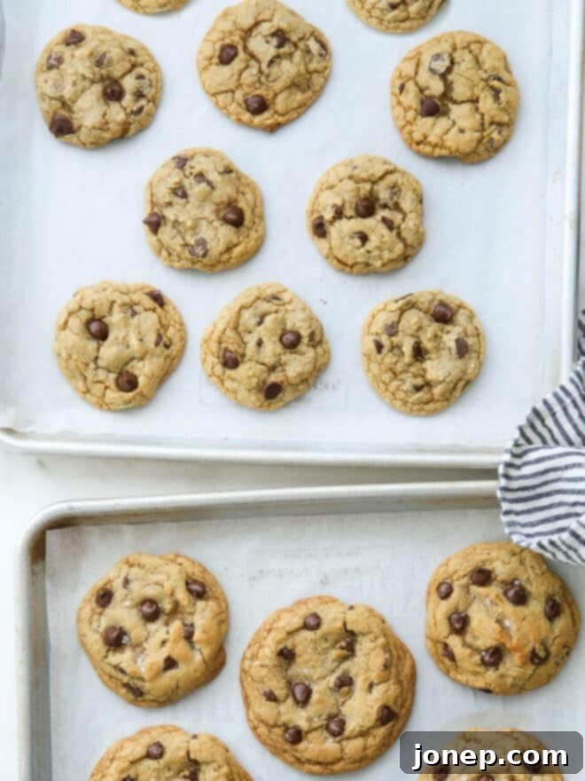 2 sizes of chocolate chip cookies on sheet pans