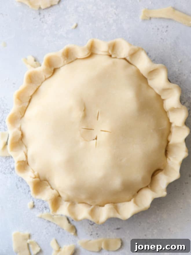 Your Ultimate Thanksgiving Pie Companion 4 Homemade pie crust dough, perfectly prepared and ready for baking delicious pies.