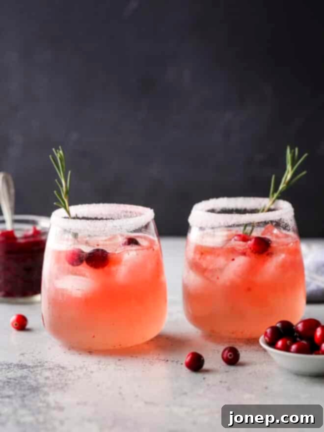 Sparkling Cranberry Gin Fizz 2 Two cranberry gin fizz cocktails with rosemary and fresh cranberries, ready for sipping.