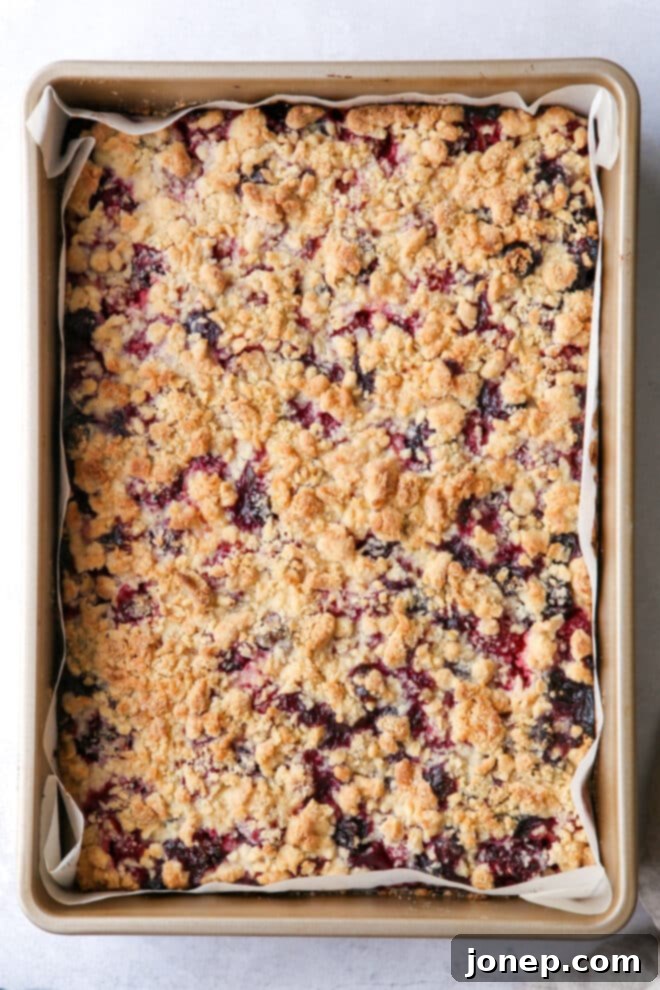 baked berry crumb bars still in the pan, golden brown and ready to be cooled