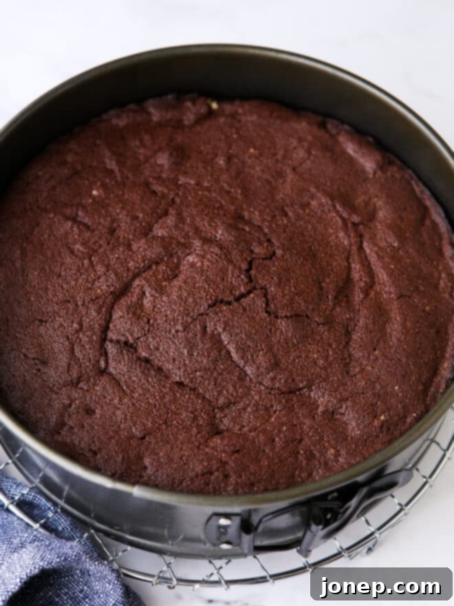 Gluten-Free Chocolate Almond Torte 9 baked flourless chocolate almond cake in pan