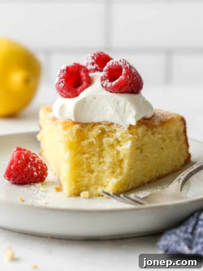 Why Room Temperature Eggs Matter in Baking 3 A delicious slice of lemon olive oil cake, highlighting its tender, airy crumb and perfectly baked texture, a testament to using room temperature eggs.