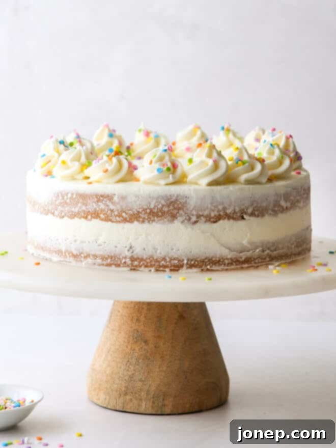 Frosted Sugar Cookie Cake 9 A fully assembled sugar cookie layer cake, frosted with vanilla buttercream and decorated with sprinkles, on a cake stand.