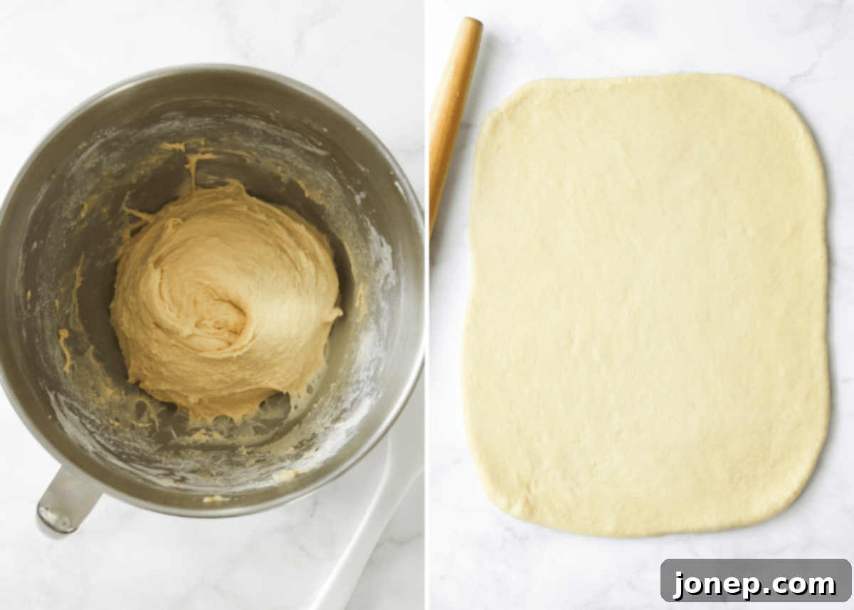 Dough in a bowl after its first rise, followed by a rolled-out cinnamon roll dough with filling.