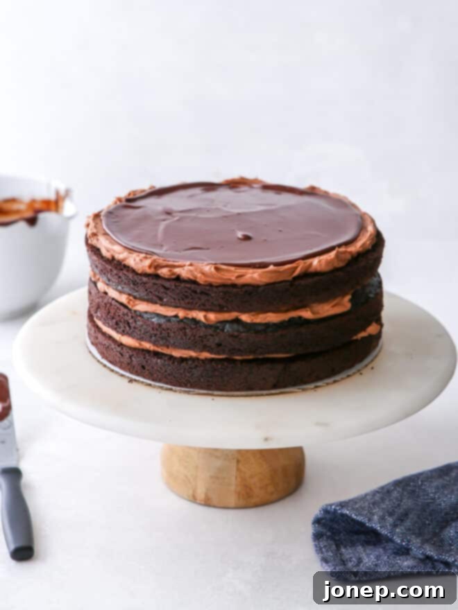 Decadent Chocolate Fudge Layer Cake 7 Hands carefully assembling a chocolate fudge layer cake, stacking cake layers and adding frosting.