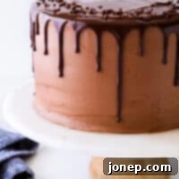 Decadent Chocolate Fudge Layer Cake 10 closeup of chocolate fudge cake on cake stand