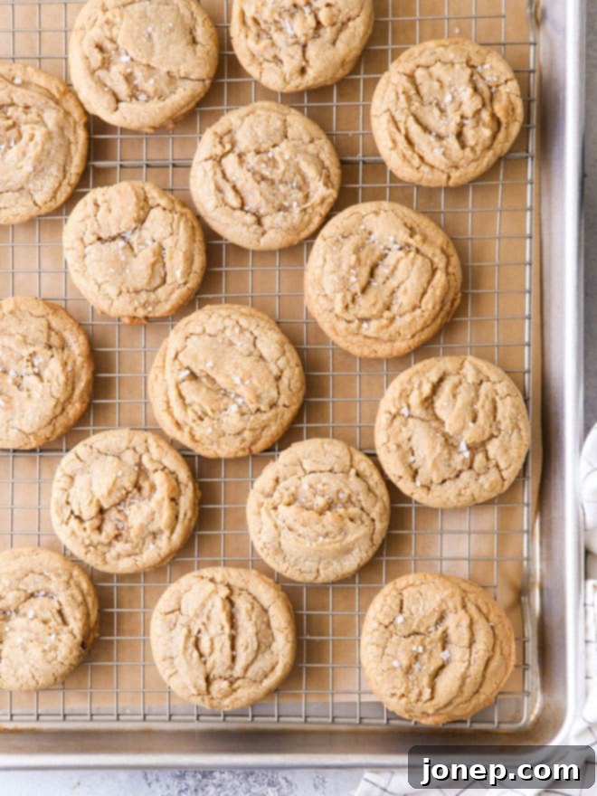 Simply The Cookie 6 These are your favorite chocolate chip cookies, minus the chocolate chips. Think you’ll miss the chocolate? Think again.