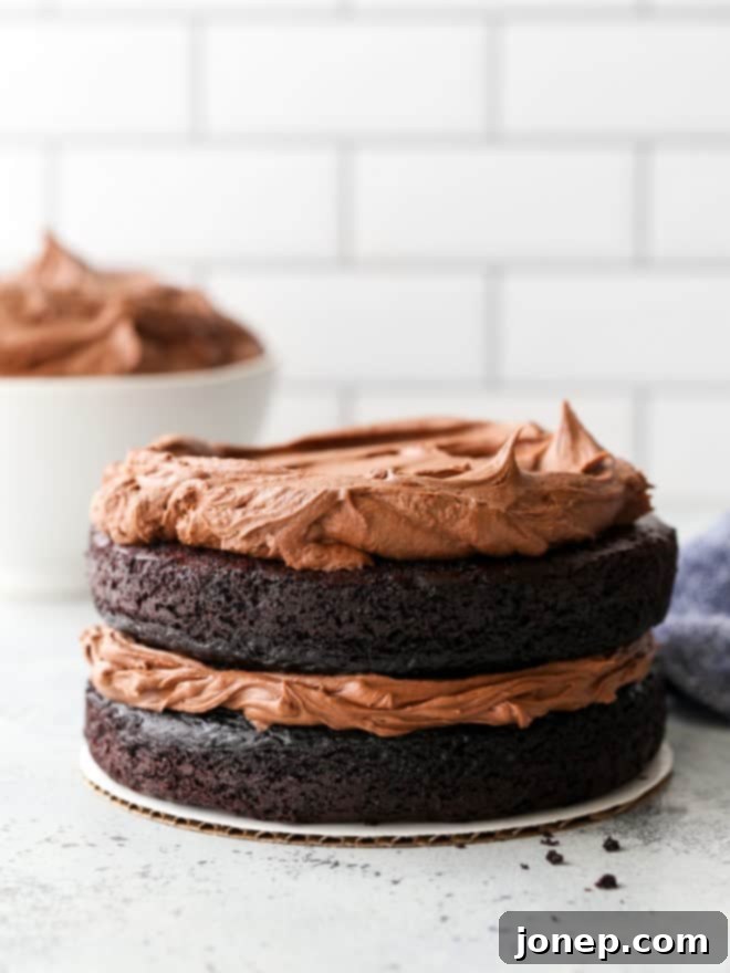 chocolate cake frosted with easy fudge buttercream