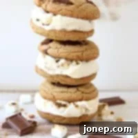 Campfire Delight Ice Cream Sandwiches 2 S'mores Ice Cream Sandwiches | completelydelicious.com