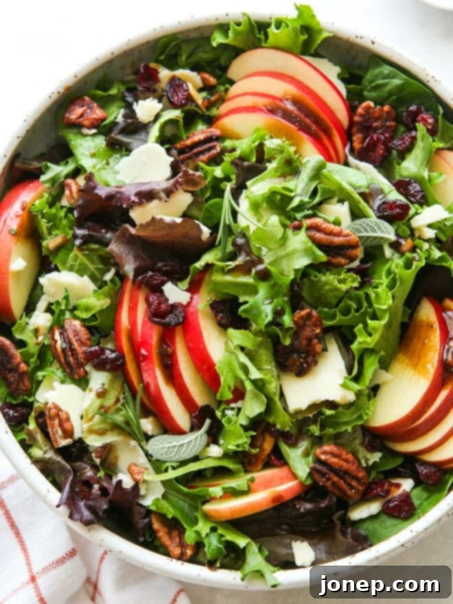 Harvest Apple Salad with Sharp Cheddar and Candied Pecans 2 closeup of fall apple salad in bowl