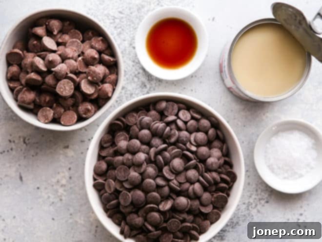 5 ingredients for salted chocolate truffles