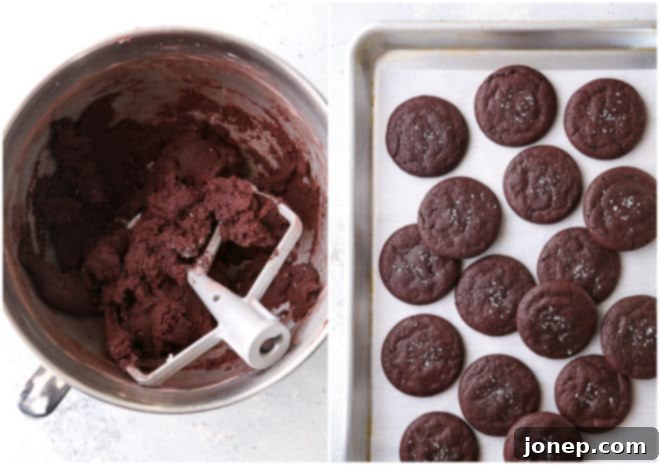 Chocolate cookie dough portioned on a baking sheet next to a tray of freshly baked soft chocolate cookies