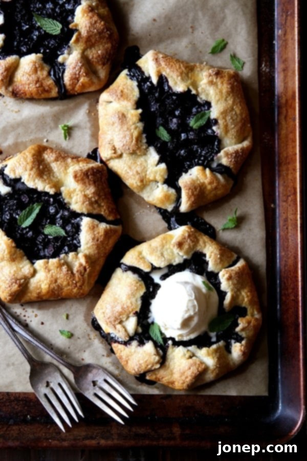 Mini Blueberry Galettes | completelydelicious.com