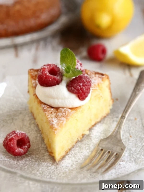 Lemon Olive Oil Cake | completelydelicious.com