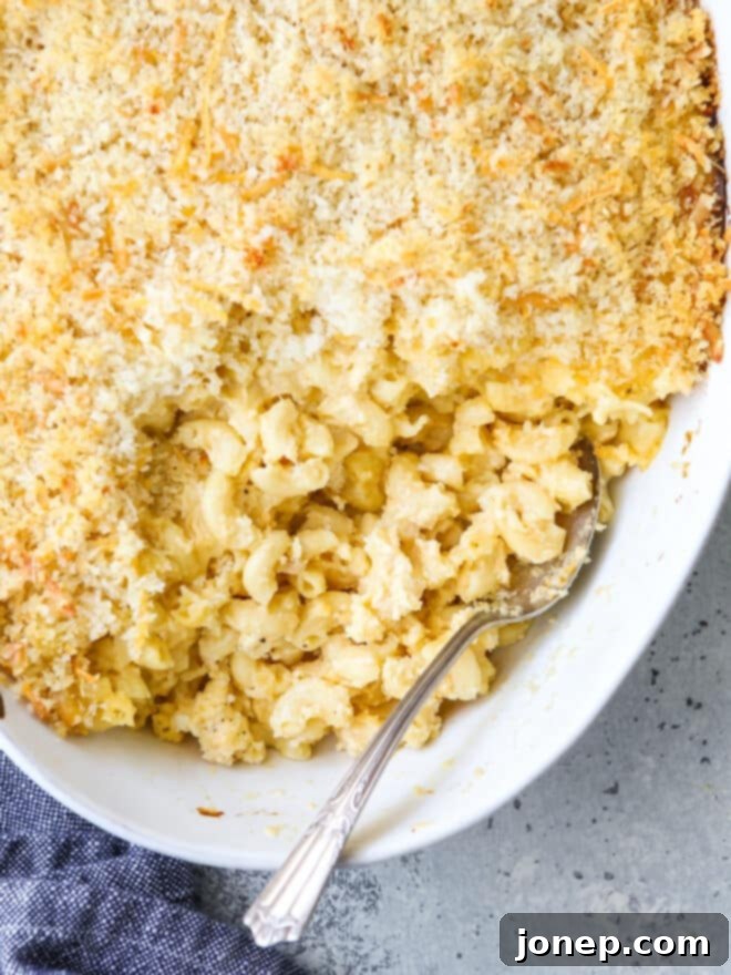 Golden brown baked macaroni and cheese in a casserole dish with a serving spoon