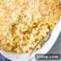 Baked Mac and Cheese Perfection 9 Thumbnail of classic baked macaroni and cheese in a baking dish