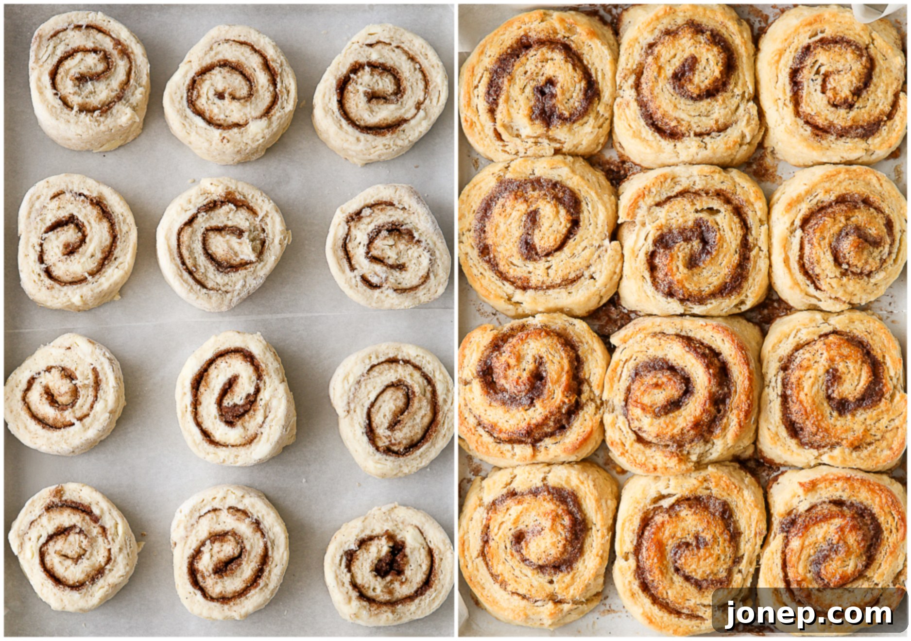 Sweet Cinnamon Swirl Biscuits 7 cinnamon roll biscuits, before and after baking in the pan