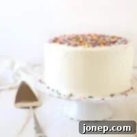 Funfetti Cake with Fluffy Vanilla Frosting | completelydelicious.com