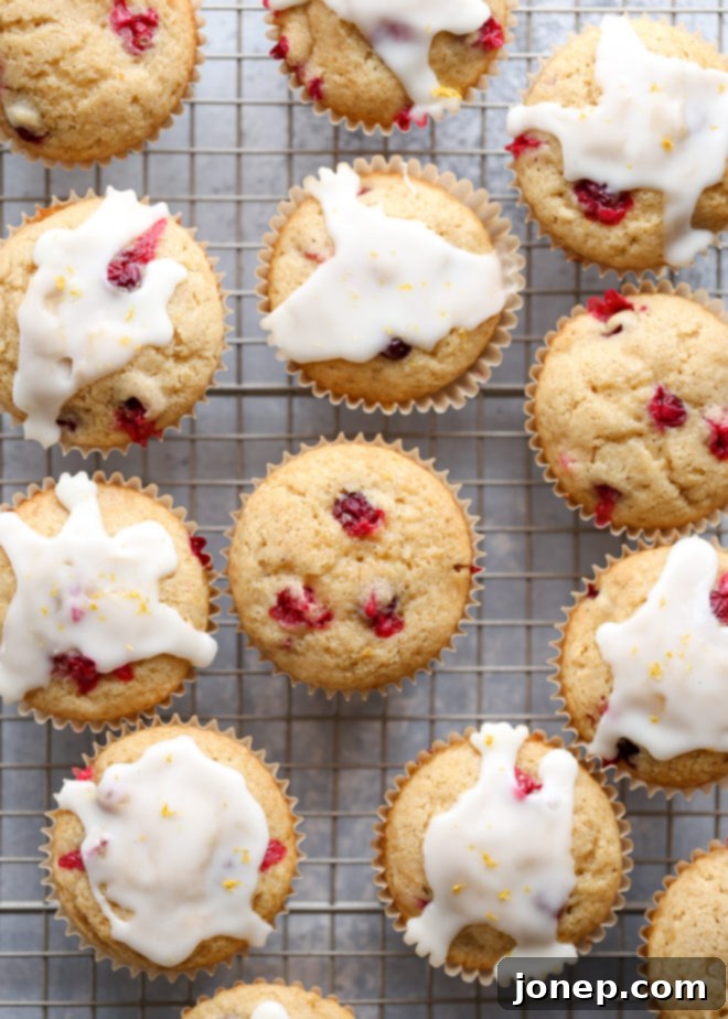 Soft and buttery, these cranberry orange muffins are bursting with flavor in every bite! A close-up of a muffin with fresh cranberries and orange zest visible.