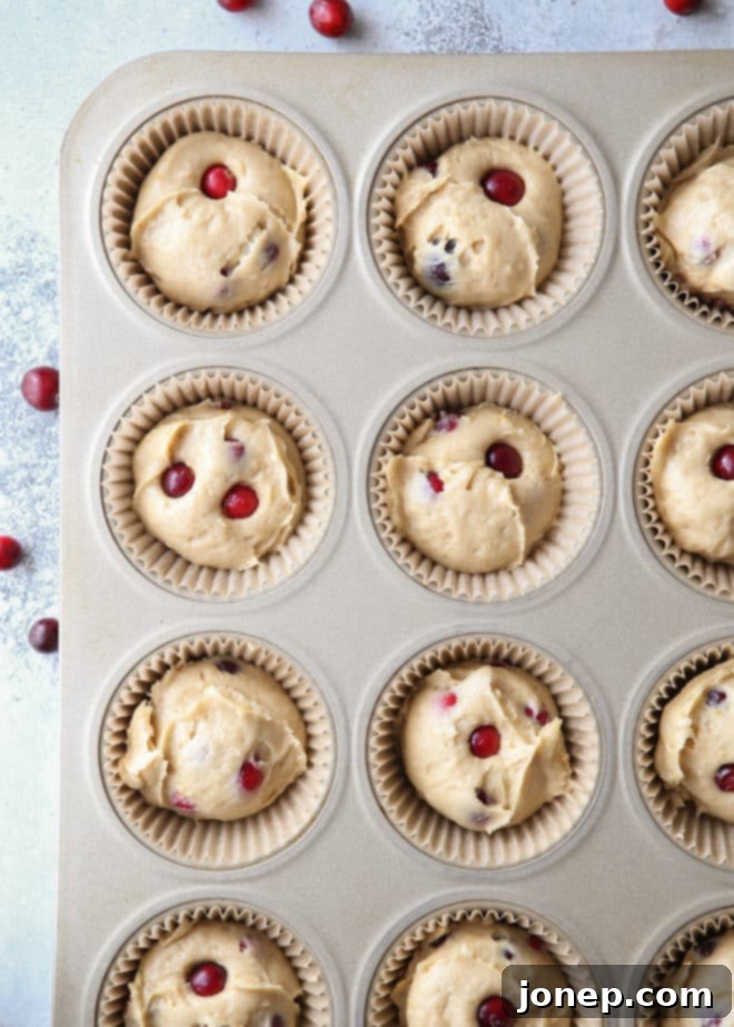 Making cranberry orange muffins. A close-up of a muffin with a spoon and some fresh cranberries.