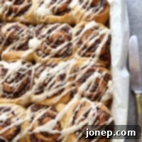 Decadent Chocolate Hazelnut Rolls 2 Delicious Chocolate Hazelnut Sweet Rolls