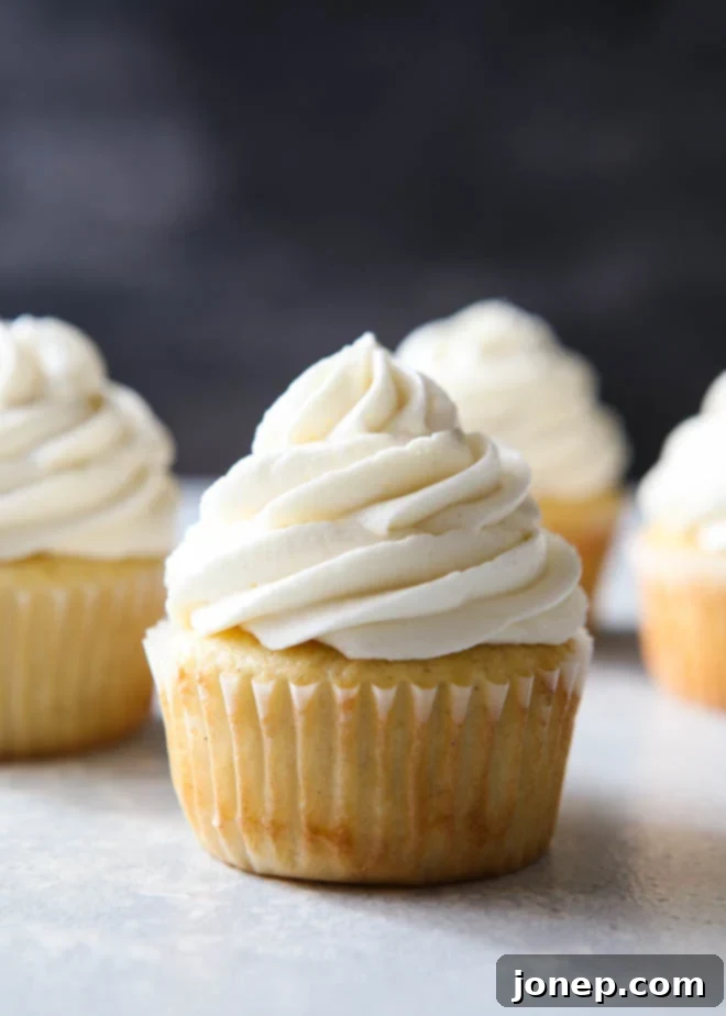 Vanilla Bean Dream Frosting 2 The fluffiest and creamiest vanilla frosting, piled high on a cupcake, ready to be enjoyed.
