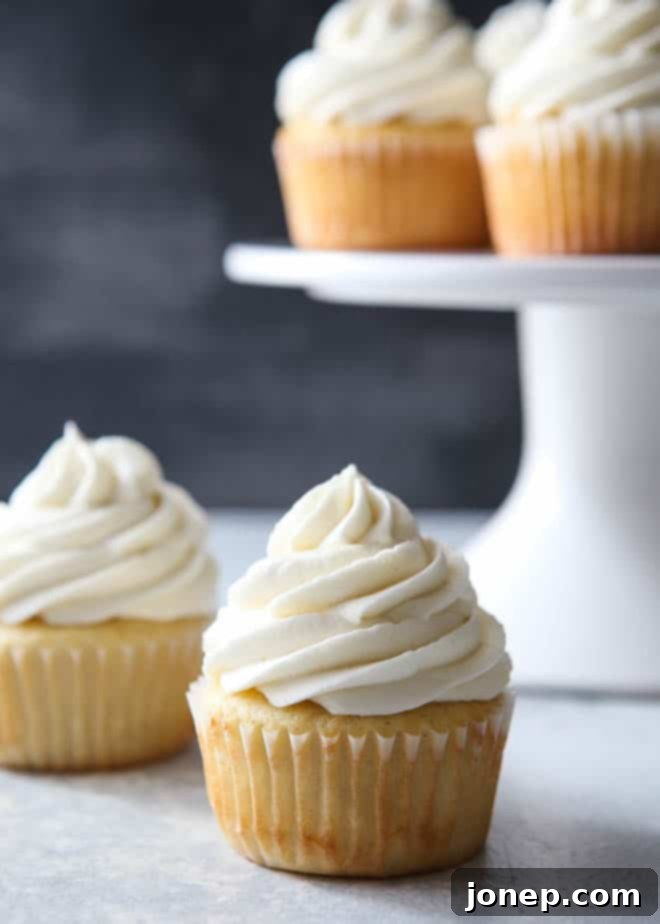 Vanilla Bean Dream Frosting 6 A beautifully frosted cupcake with the fluffiest and creamiest vanilla buttercream, ready for a bite.