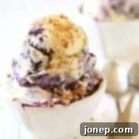 Blueberry Crumble Swirl 2 Blueberry Pie Ice Cream | completelydelicious.com