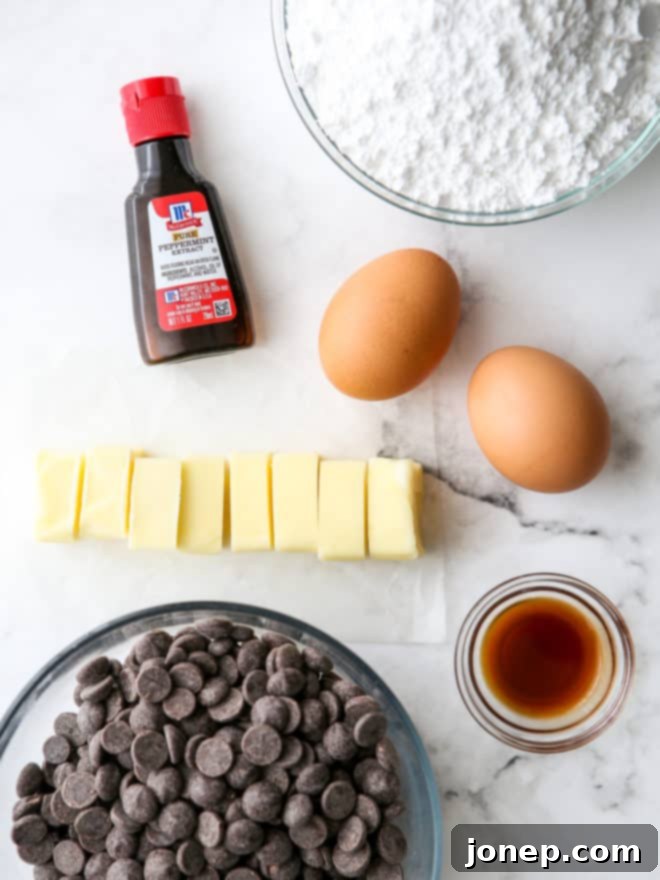 Key ingredients for making peppermint fudge laid out on a surface, including chocolate, butter, sugar, and extracts