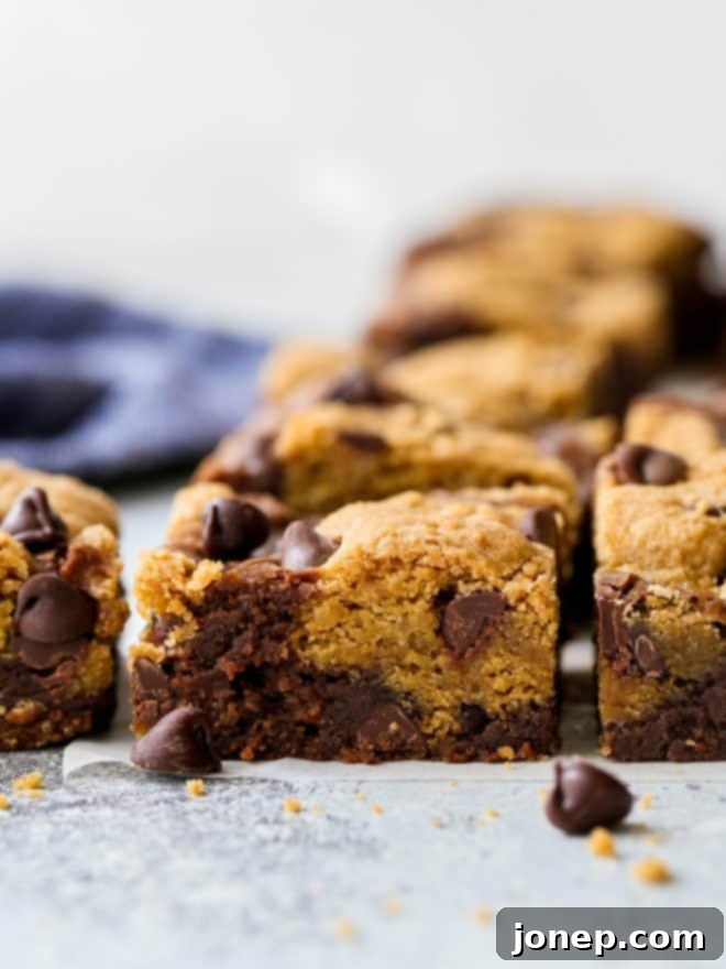 Chocolate Chip Brookie 2 closeup of chocolate chip cookie brownies