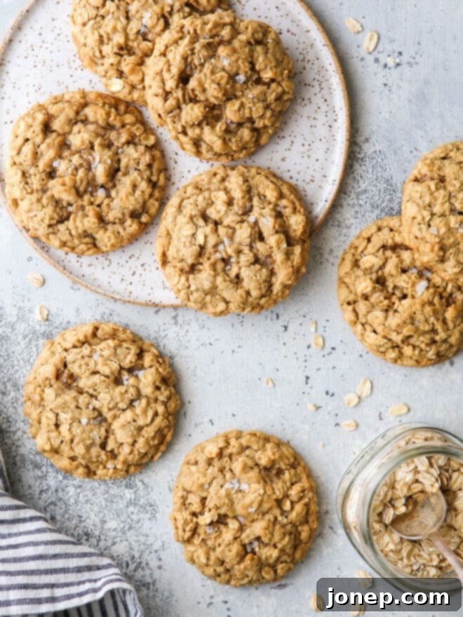 Perfectly Chewy Oatmeal Cookies 2 Plate of golden-brown chewy oatmeal cookies, showcasing their rich texture and oats
