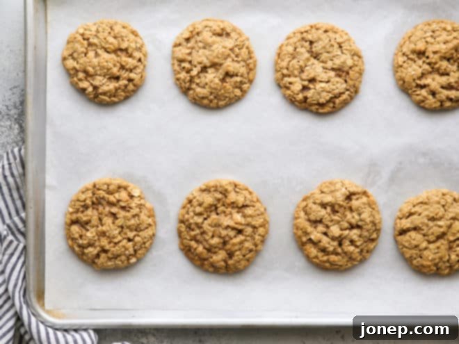 Perfectly Chewy Oatmeal Cookies 5 Freshly baked chewy oatmeal cookies, golden brown and perfectly textured, cooling on a parchment-lined sheet pan