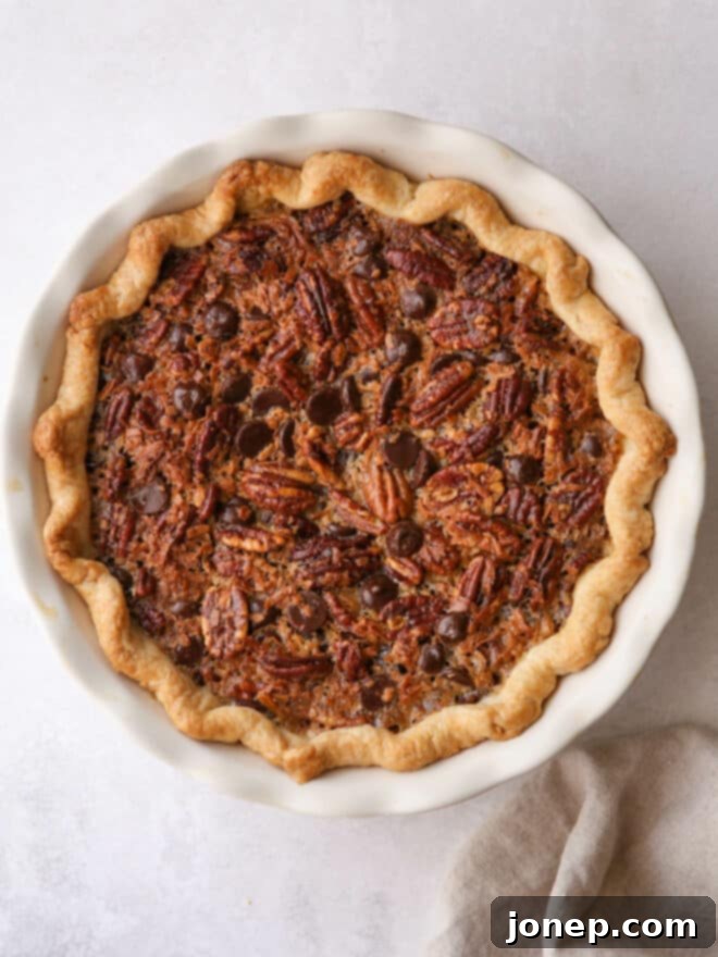 chocolate coconut pie baked in a pie dish, with a perfect golden crust
