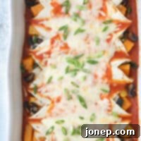 Butternut Squash, Mushroom, and Poblano Enchiladas ready to be served