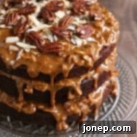 Cola-Infused Chocolate Cake with Dulce de Leche Toasted Coconut and Pecan Crunch Frosting 2 Chocolate Cola Cake with Dulce de Leche, Coconut and Pecan Icing | completelydelicious.com