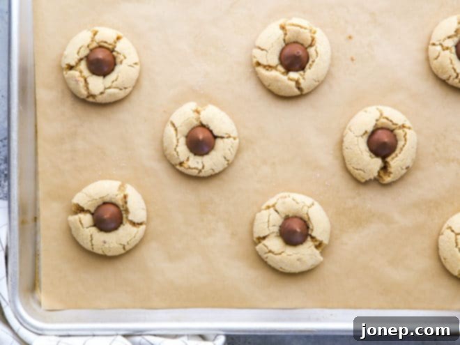Freshly baked Peanut Butter Blossom cookies cooling on a wire rack, with perfectly melted Hershey's Kisses
