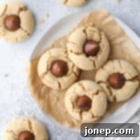 Peanut Butter Kiss Cookies 7 Peanut Butter Blossom cookies are a nostalgic classic and delightful dessert