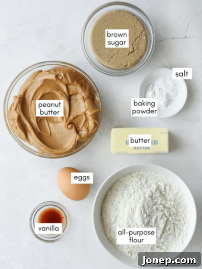 Eight essential ingredients for making classic peanut butter cookies laid out on a kitchen counter: butter, peanut butter, sugar, egg, flour, baking powder, salt, and vanilla extract.