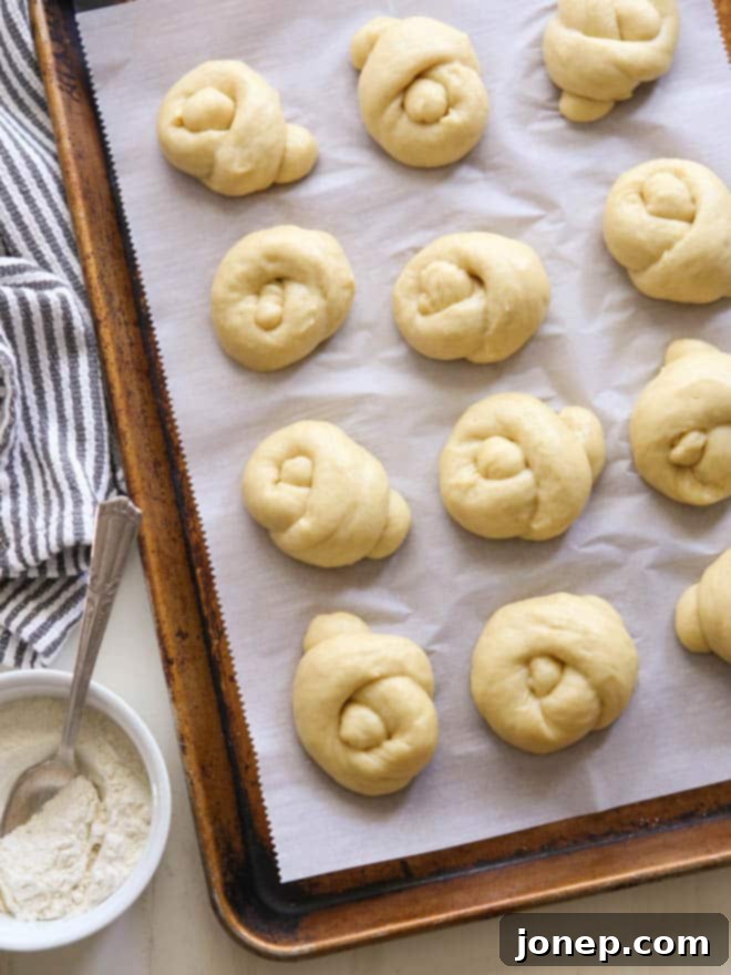 A tray of perfectly shaped knotted Challah rolls rising before baking
